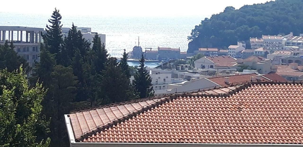 Apartmani Neda Bane Petrovac Buitenkant foto